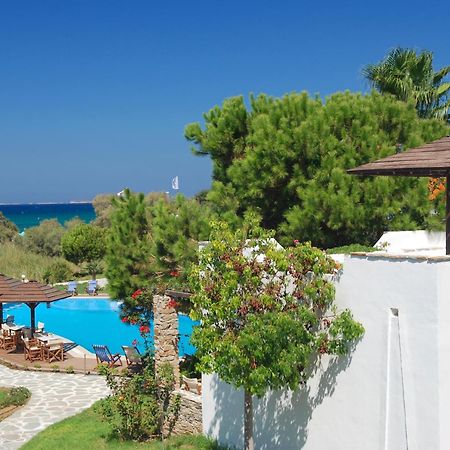 Alkyoni Beach Hotel Naxos City Ngoại thất bức ảnh